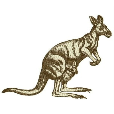Kangaroos