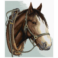 Majestic Horses Cross Stitch Charts by Country Threads