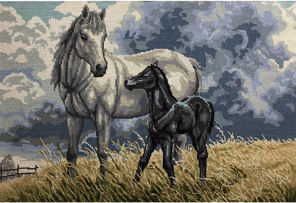 Horses Tapestry Design Printed On 10 Count Antique Canvas & Stranded Cotton Thread
