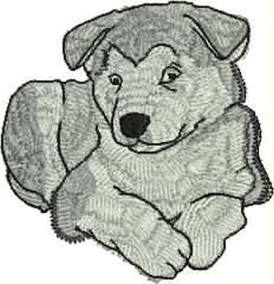 Alaskan Malamute Puppy Laying Machine Embroidery Design (alaskan-malamute-puppy-2b)