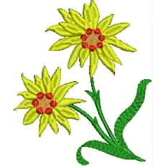Alpine Daisies Floral Machine Embroidery Design (alpine-daisy-flowers-100)