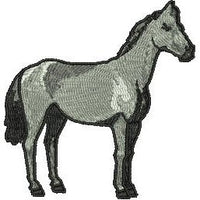 Horse Small Machine Embroidery Design (an-horse)